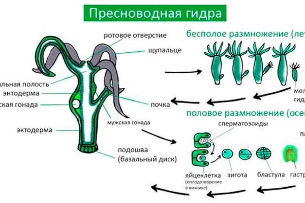 Магазин дарк нет